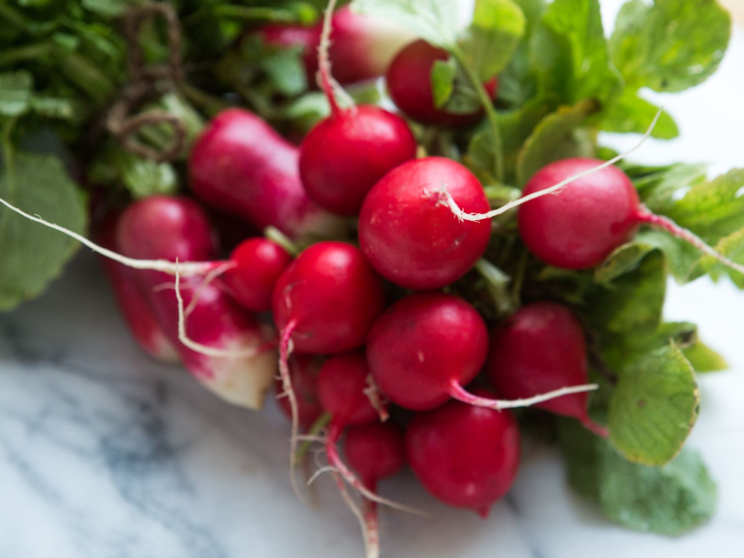 Close-up of two bunches of radishes laying on a marble slab. The closest bunch is of typical, red Cherry Belle radishes, and they are in sharp focus. Elongated, white-tipped French Breakfast radishes are in the background, blurred by the shallow depth of field.