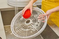 A person washing the tray of Nesco Gardenmaster Digital Pro Food Dehydrator