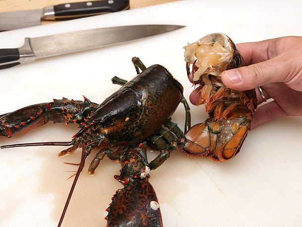 Dispatched lobster with tail fully separated from the body