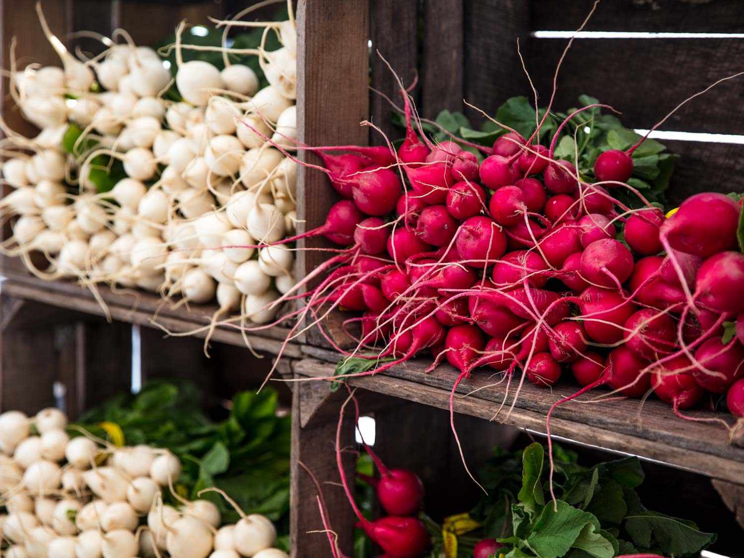 Red and white turnips in wooden crates on display at Willow Wisp Organic Farm farmers market stand