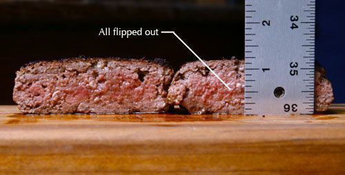 20100226-flipping-burgers-5-multiple-flip-autopsy copy.jpg
