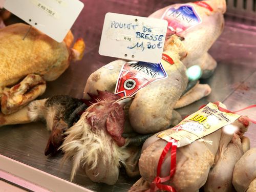 20110626-bresse-chicken-2.jpg