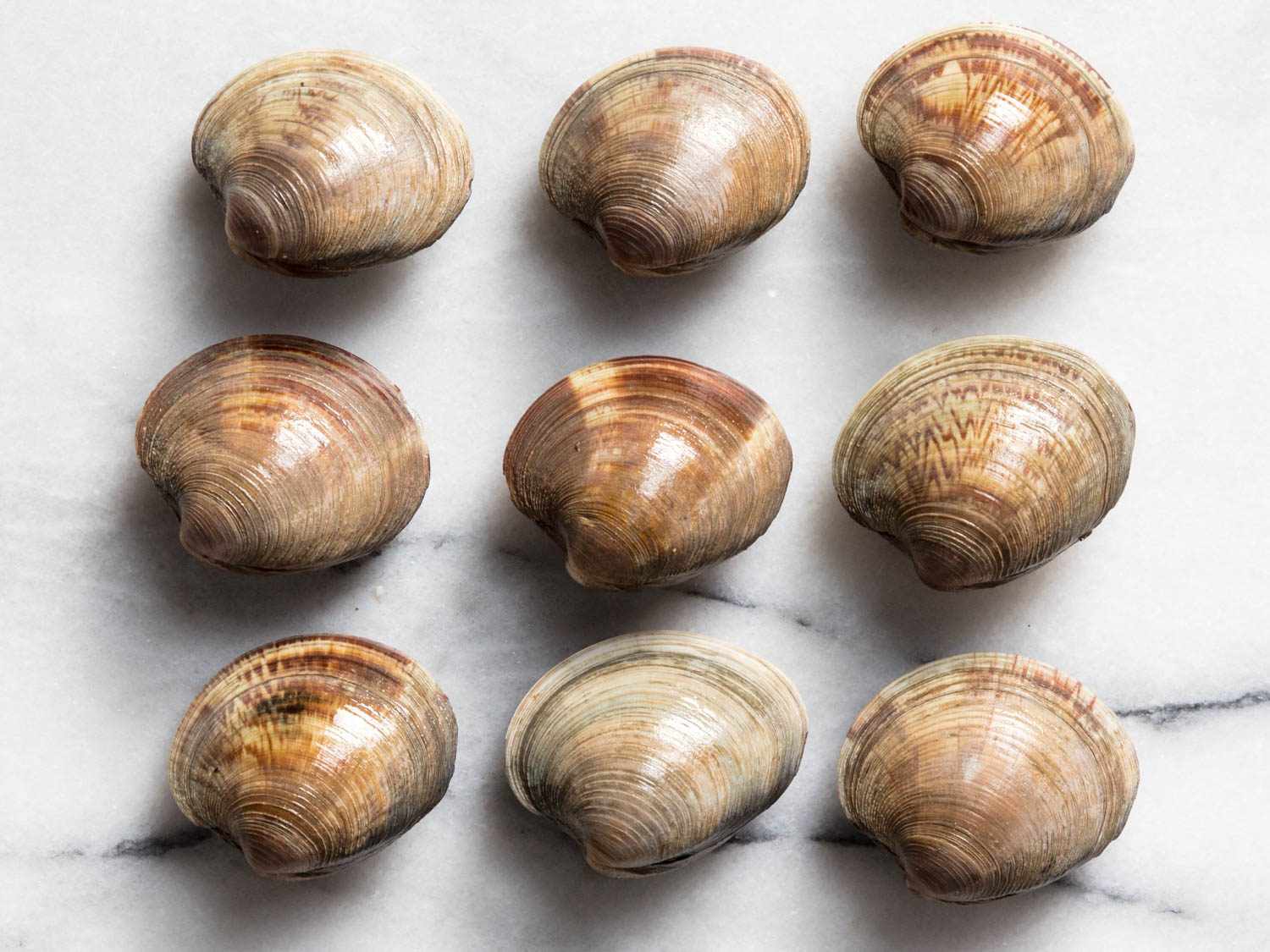 Nine variations of littleneck clams.
