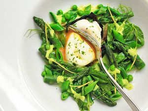 Overhead view of a Spring Salad of Asparagus, Ramps, Snap Peas, and Peas With Poached Egg and Lemon Zest Vinaigrette.