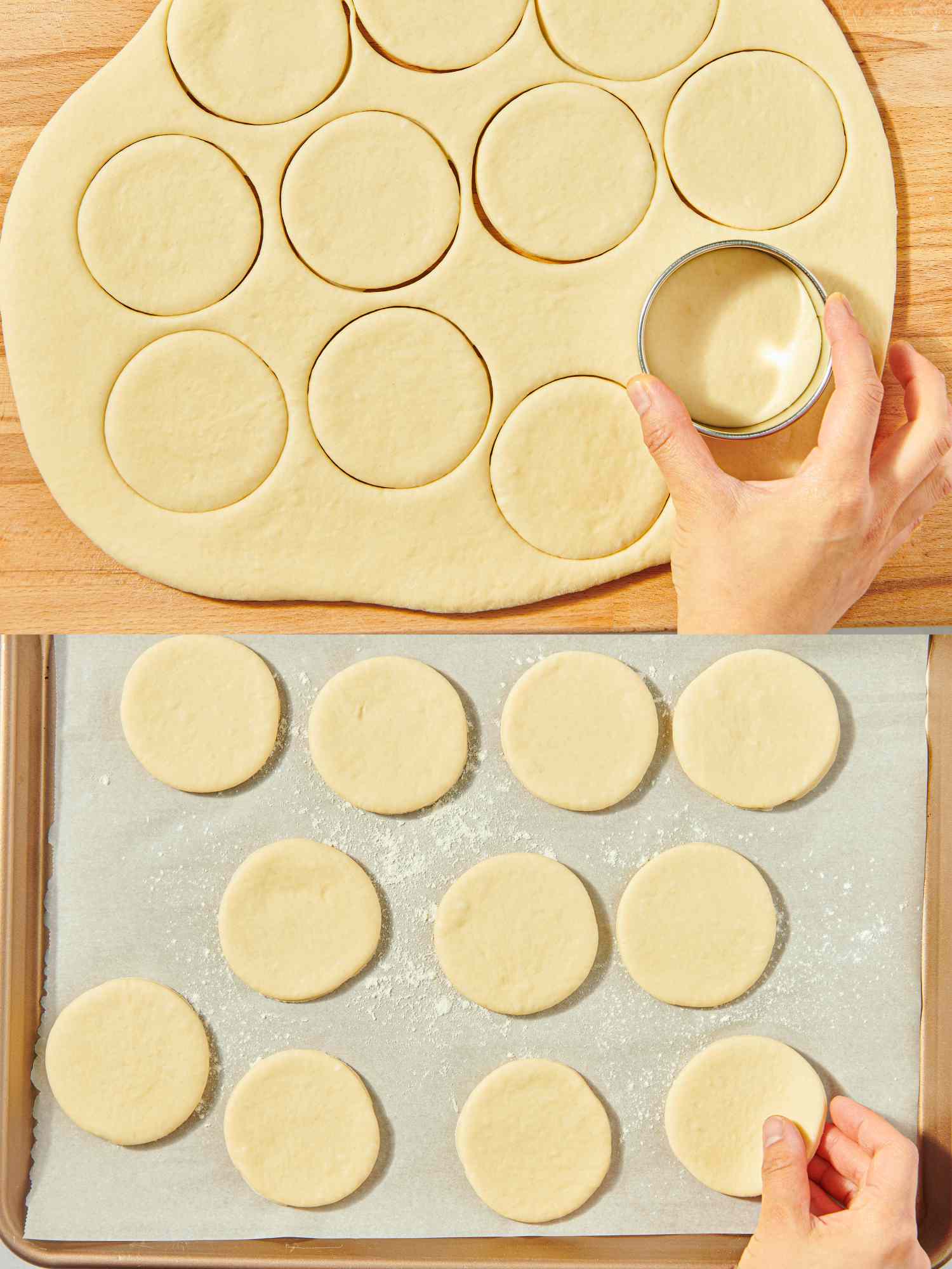 Dough circles being cut with a round cutter and placed on parchment paper on a baking sheet