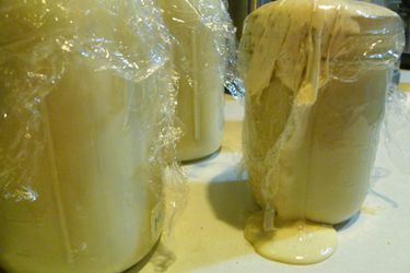 Mason jars full of sourdough starter