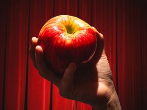 A hand holding a honeycrisp apple to the light