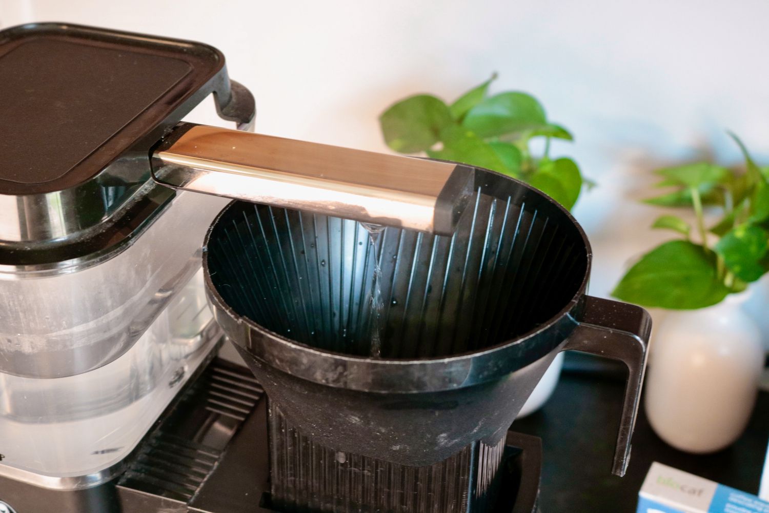 A closeup look at a coffee makers shower head running water through its brew basket