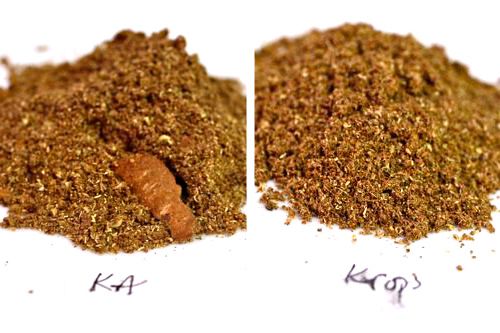 20100706-spice-grinder-comparison.jpg