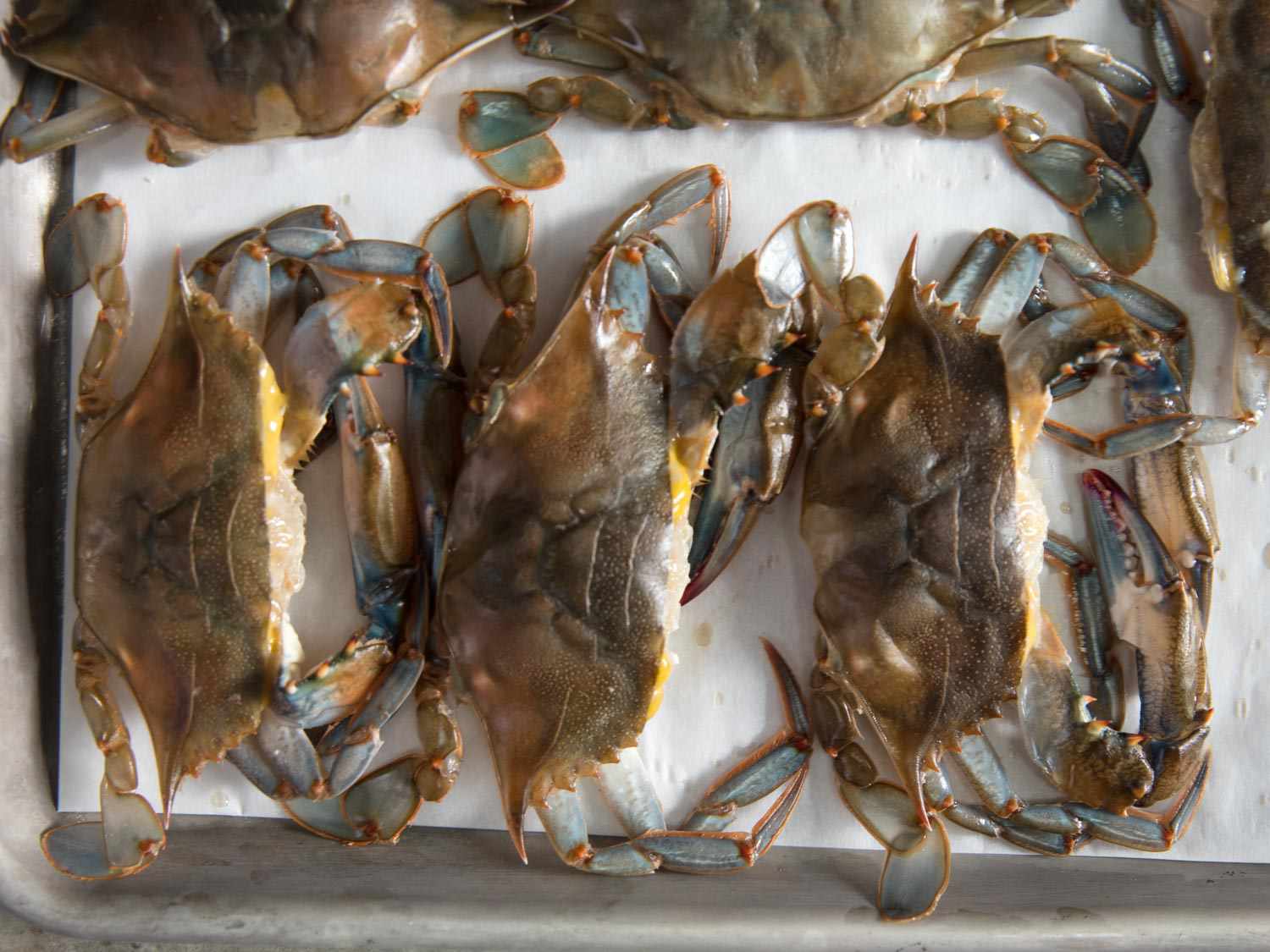 Fresh soft-shell crabs lined up on a baking sheet.