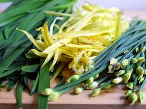 20100430-chinesechives-primary.jpg