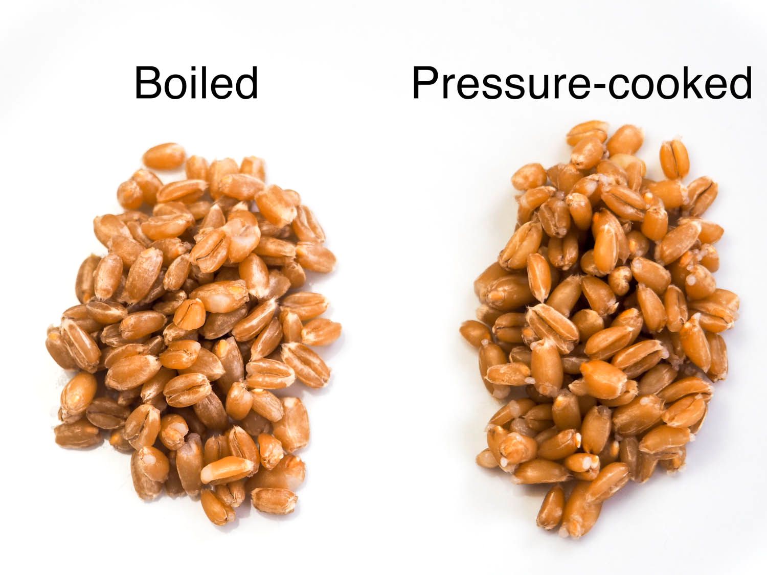 20140625-pressure-cooker-faq-daniel-gritzer-spelt-1.jpg