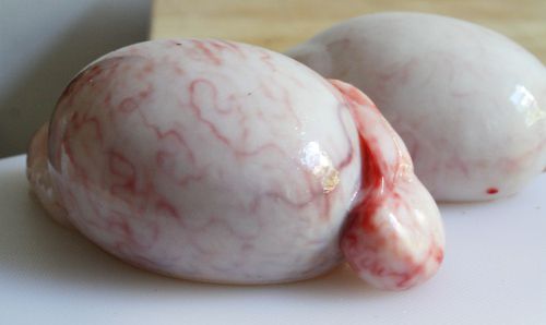 Closeup of a pair of lamb testicles set on a white cutting board.