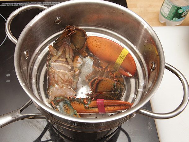 Dismembered lobster in steamer basket on stovetop, ready for cooking