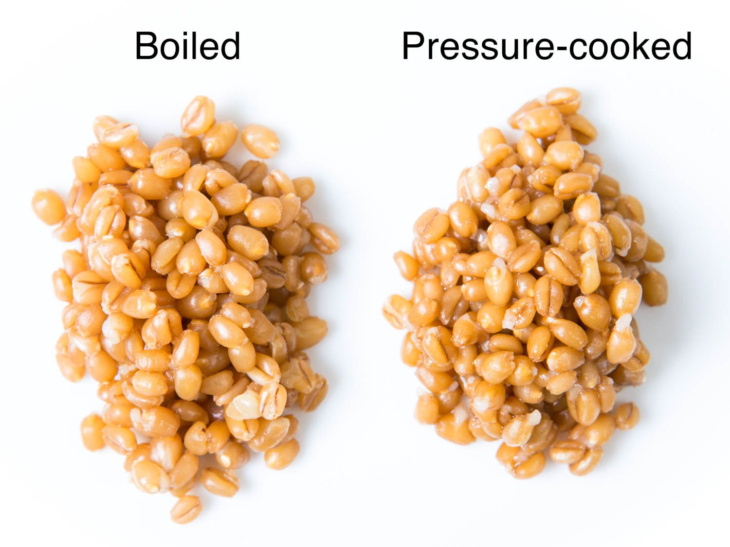20140625-pressure-cooker-faq-vicky-wasik-wheatberries-1.jpg