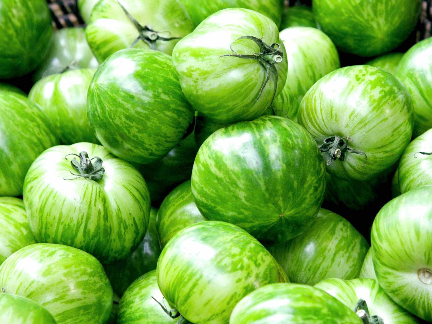 20150622-tomato-guide-green-zebra-shutterstock.jpg