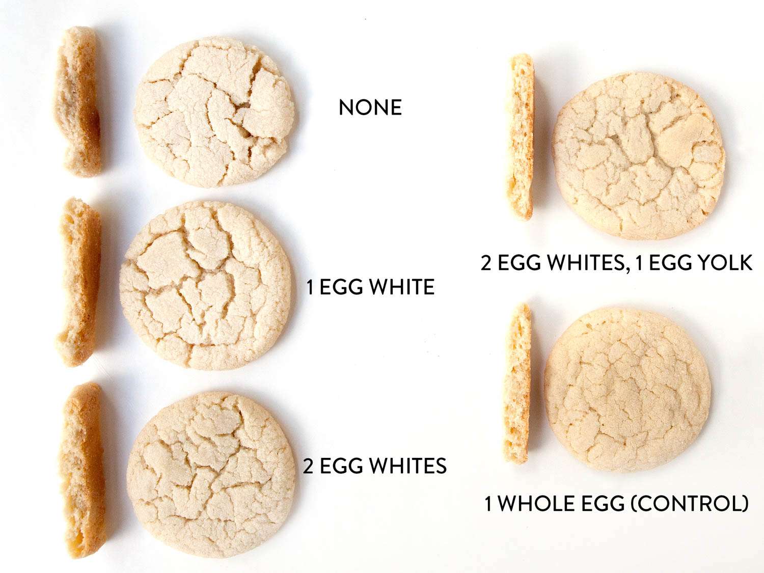 20151028-no-caption-cookie-faq-eggs-whites-sarah-jane-sanders-Edit.jpg