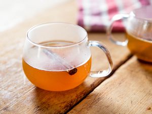 glass mug of warm mulled cider with cinnamon stick
