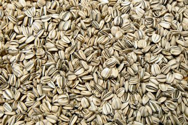 20100428-sunflowerseeds.jpg