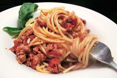 20121126-231345-Chicken-Bolognese-edit.jpg