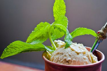 20110519-152486-mint-julep-ice-cream.jpg