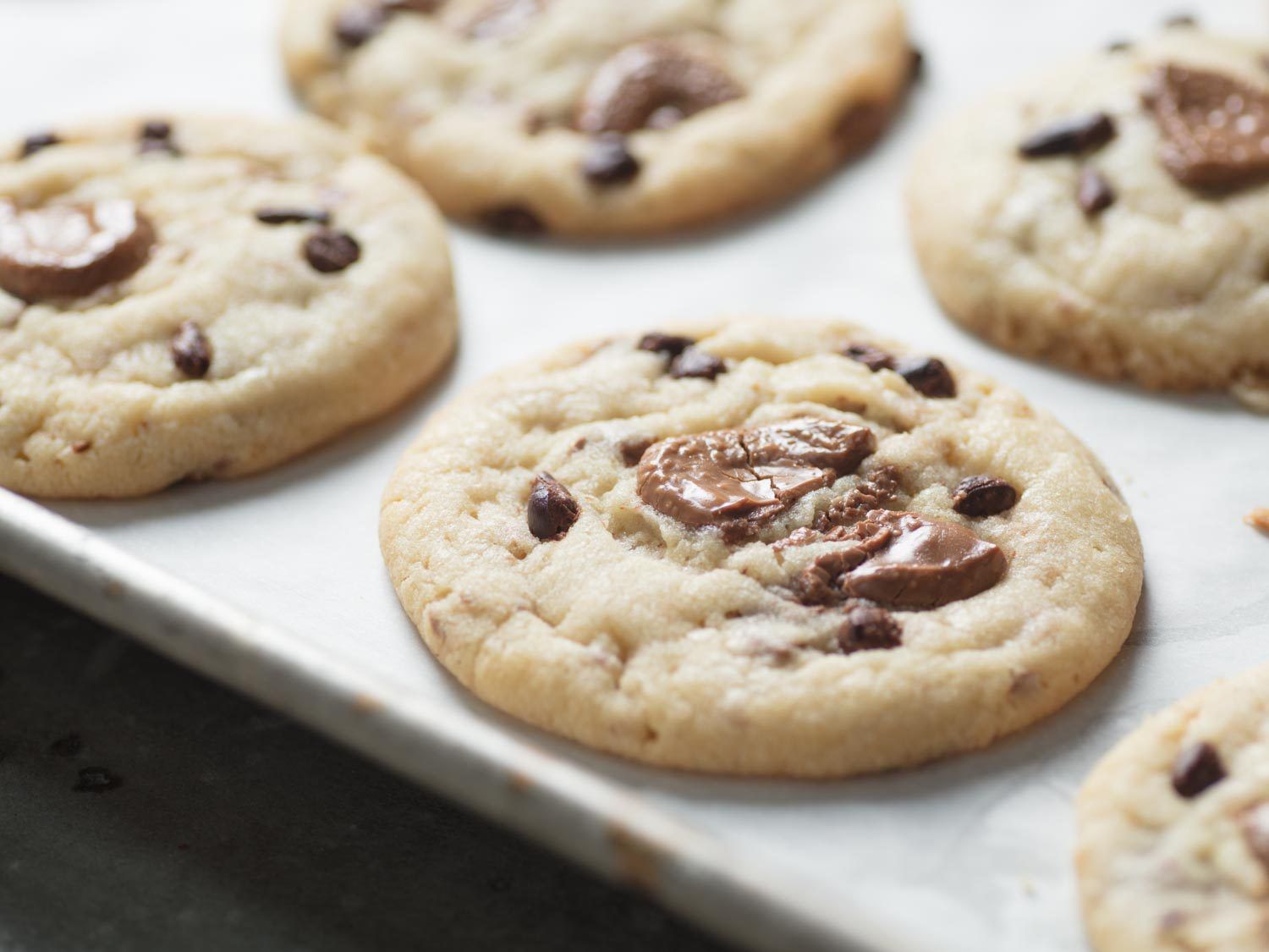 Cocoa butter cookies.