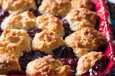 A close-up of blackberry cobbler topped with golden-brown biscuits with a bubbly blackberry filling.