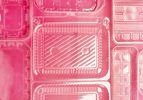 plastic clamshell containers on a pink background