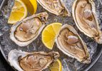 Several oysters served on ice with lemon wedges