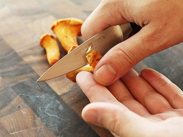 Trimming chanterelle stems with a pairing knife.