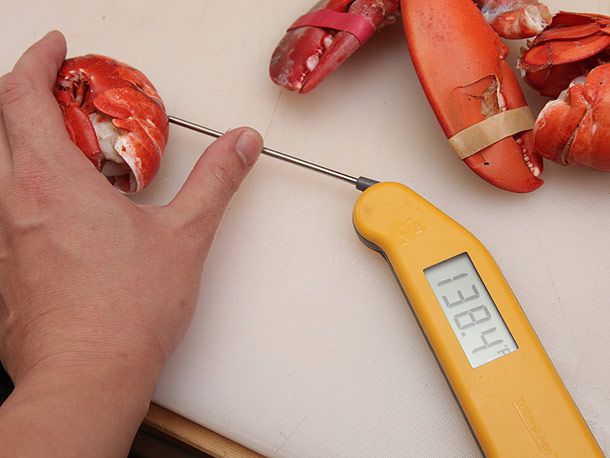 Testing the doneness of a lobster tail with an instant-read thermometer