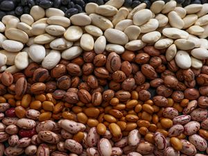 An assortment of dried beans of various types arranged in horizontal layers
