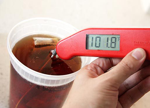 Measuring the temperature of sun tea with a thermometer. It reads 101.8F.