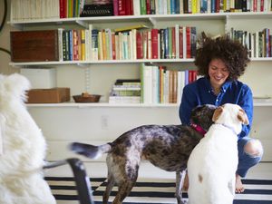 Julia Turshen in office w dogs. CREDIT DAVID LOFTUS.jpg