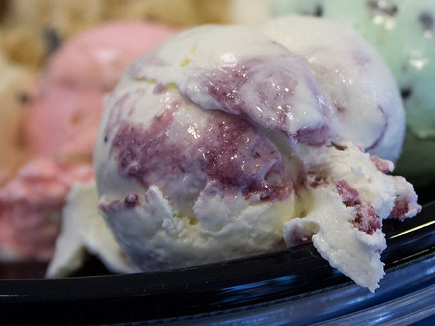 Mountain Huckleberry