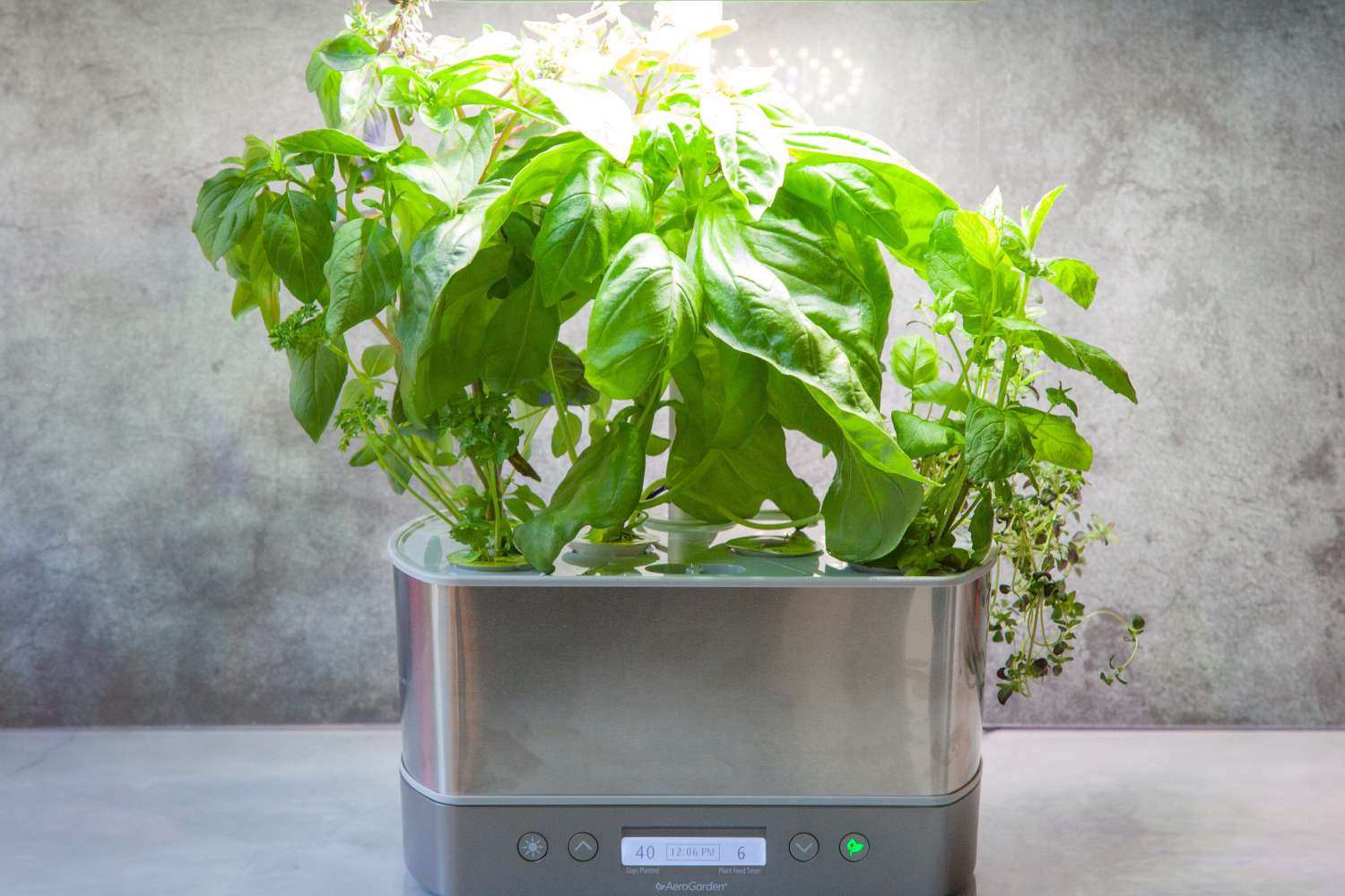 The Aerogarden Harvest Elite indoor herb garden full of fresh basil and thyme.