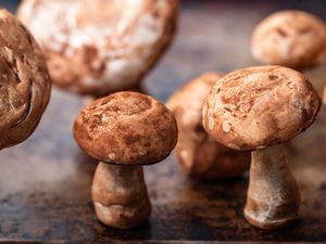 20191107-meringue-mushrooms-vicky-wasik-13