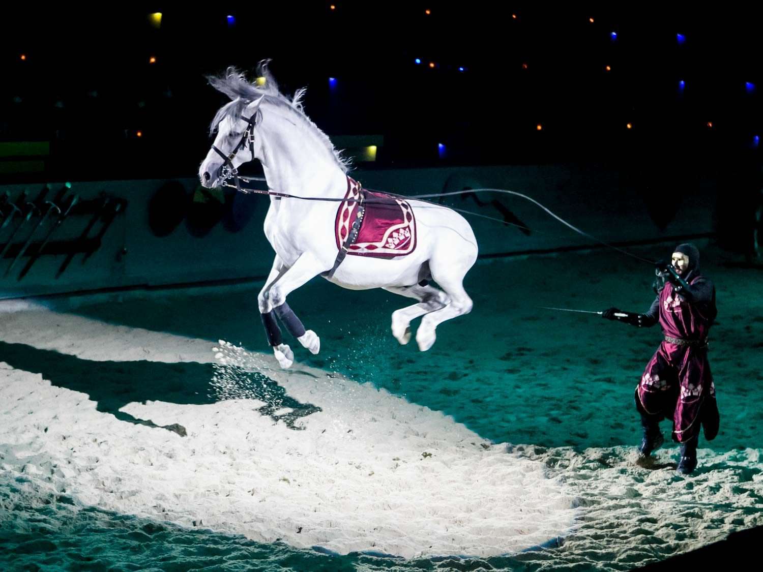 A white horse performing a jump in the spotlight in a sandy arena, next to a man in medieval attire