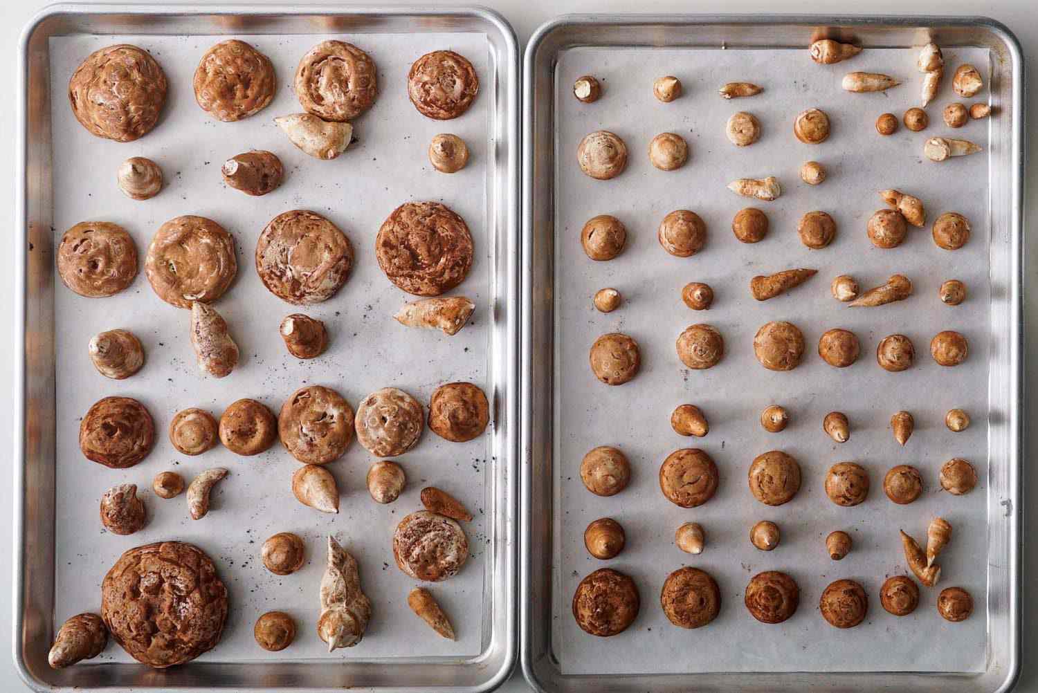 Overhead shot of cocoa-dusted meringue mushroom caps and stems prior to assembly.
