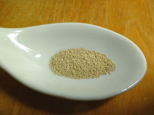 20101102 yeast bread machine.JPG