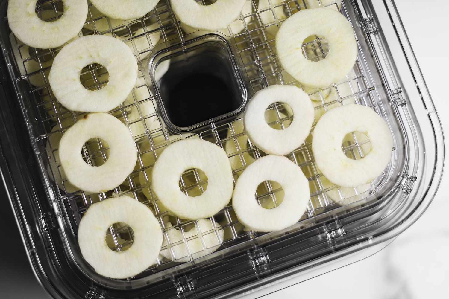a top-down shot of apple slices in a dehydrator before being dried