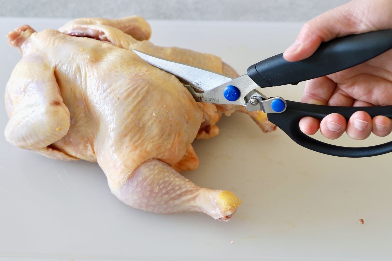 using a pair of poultry shears to cut the backbone out of a chicken
