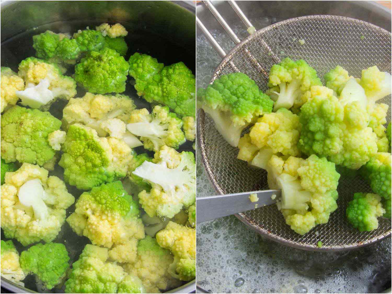 20210310-Vruoccoli-Arriminati-sasha-marx-step3