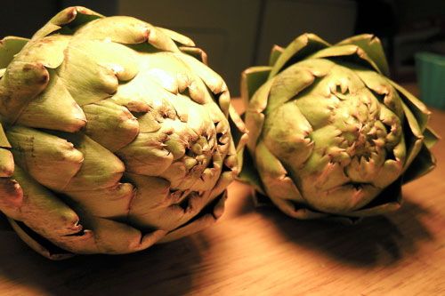 Closeup of two globe artichokes on a wooden surface.
