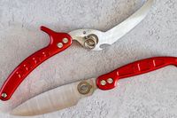 The two halves of the Dragon Riot poultry shears, separated and lying on a gray countertop