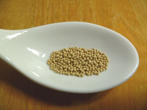 20101102 yeast active dry.JPG