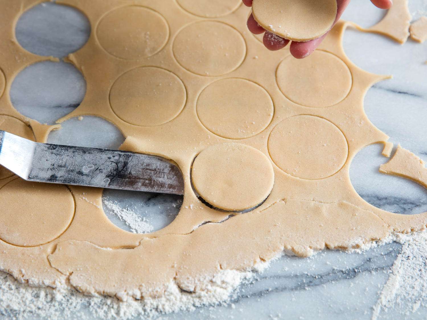 Author uses an offset spatula to remove rounds from the rolled out dough.