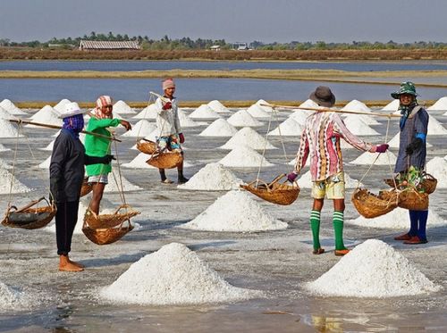 20110908-169469-salt-farmers.jpg
