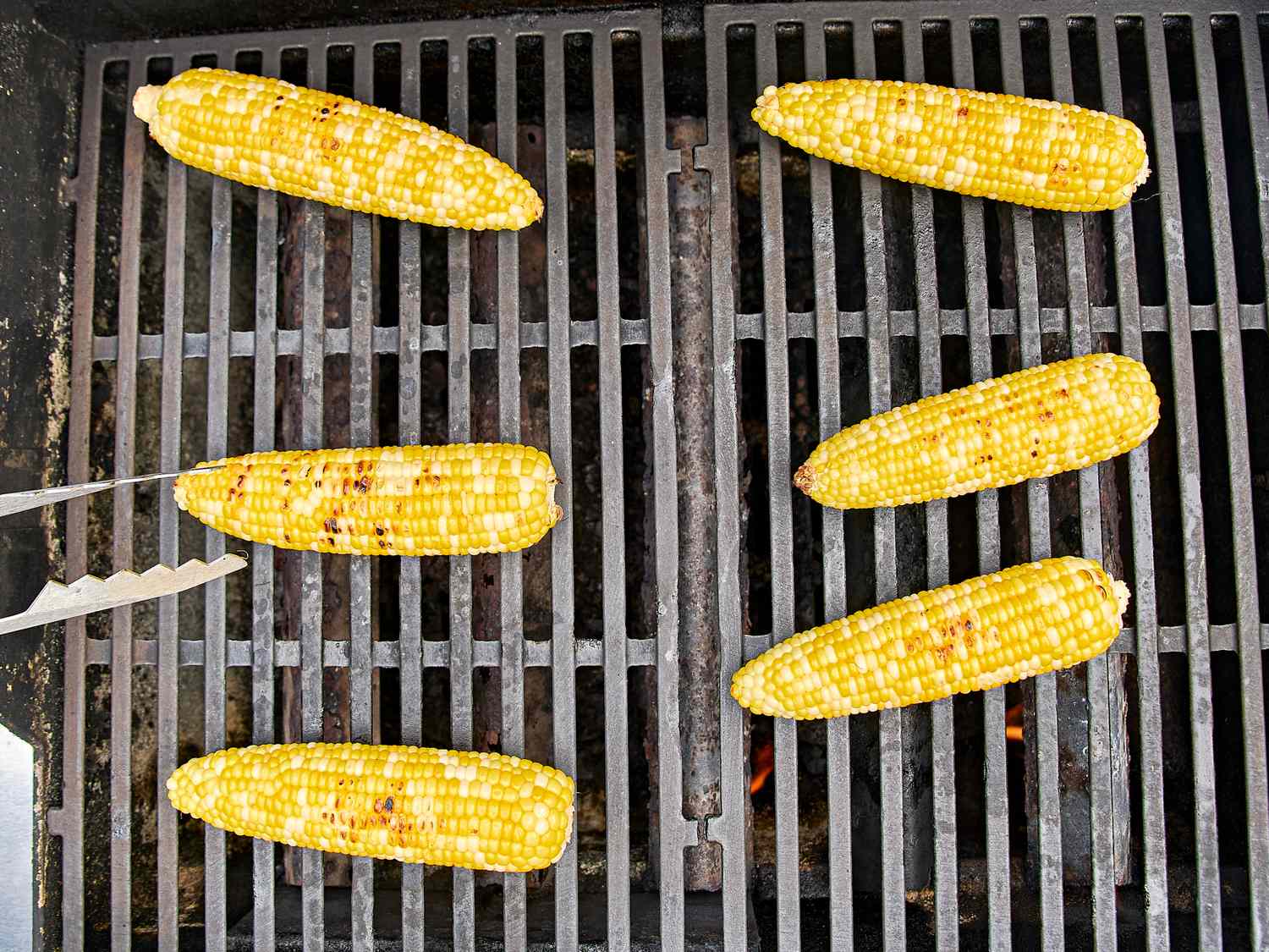 Grilled corn on the cob being cooked on a grill with tongs turning one cob