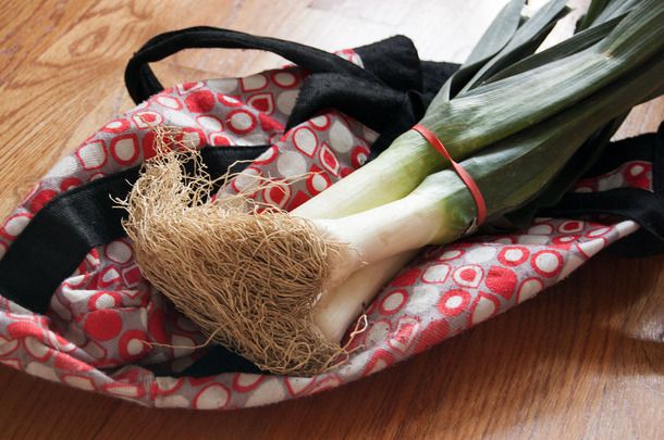 a bundle of fresh leeks